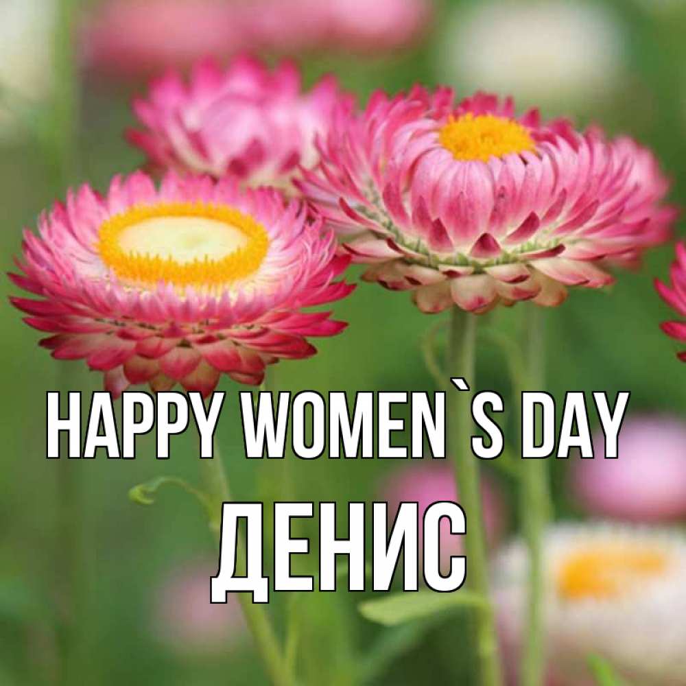 Greetings card с именем, Денис happy women`s day подарок на международный женский день Greetings with text for free download 